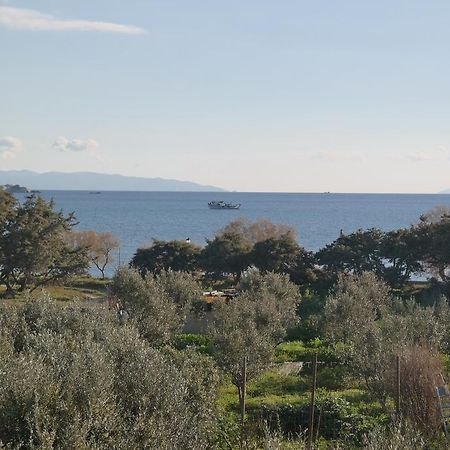 Mina'S Studios In Naxos Island Ágios Prokópios Extérieur photo