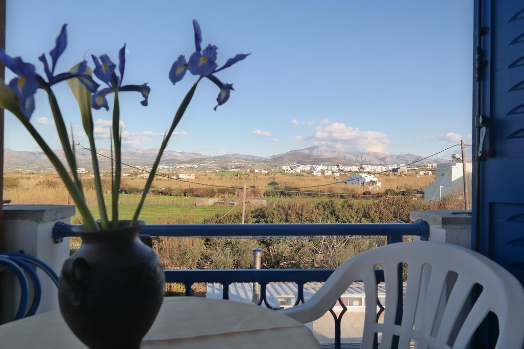 Mina'S Studios In Naxos Island Ágios Prokópios Extérieur photo